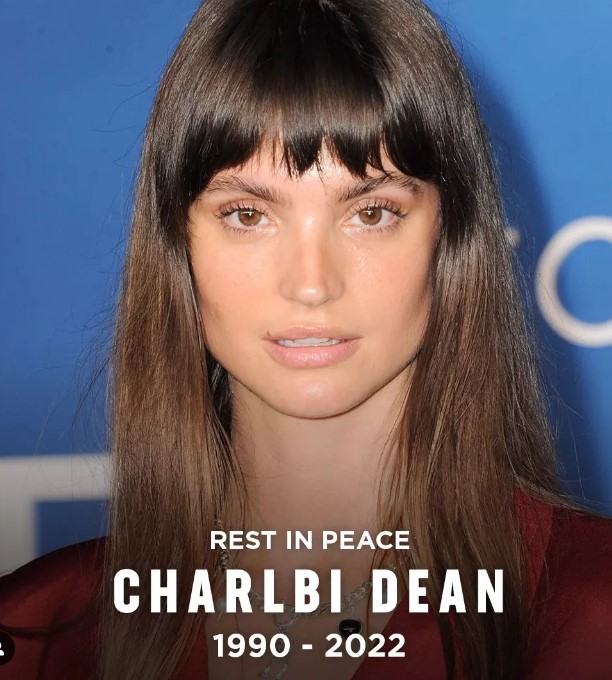 Charlbi Dean, star of 'Triangle of Sadness,' dead at age of 32